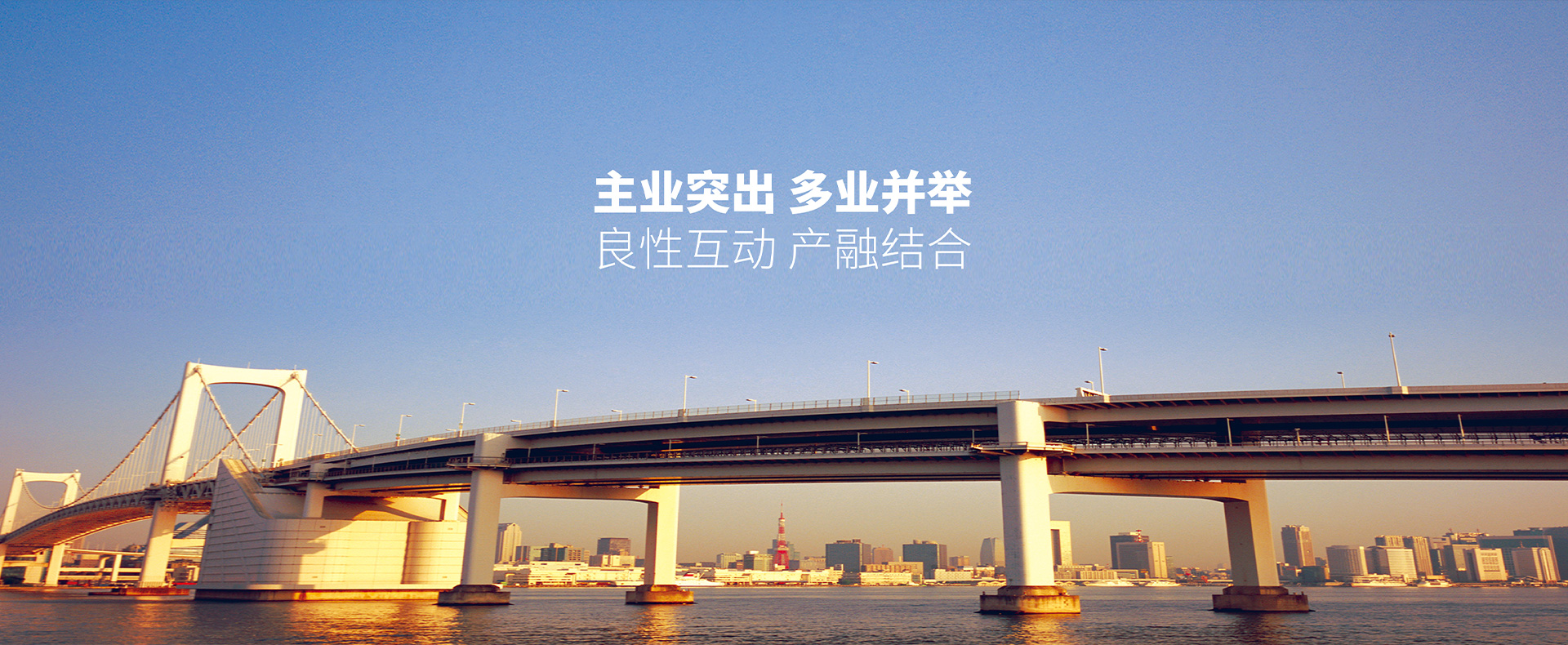ɳjs93252